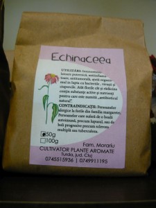 Echinaceea - plantă medicinală